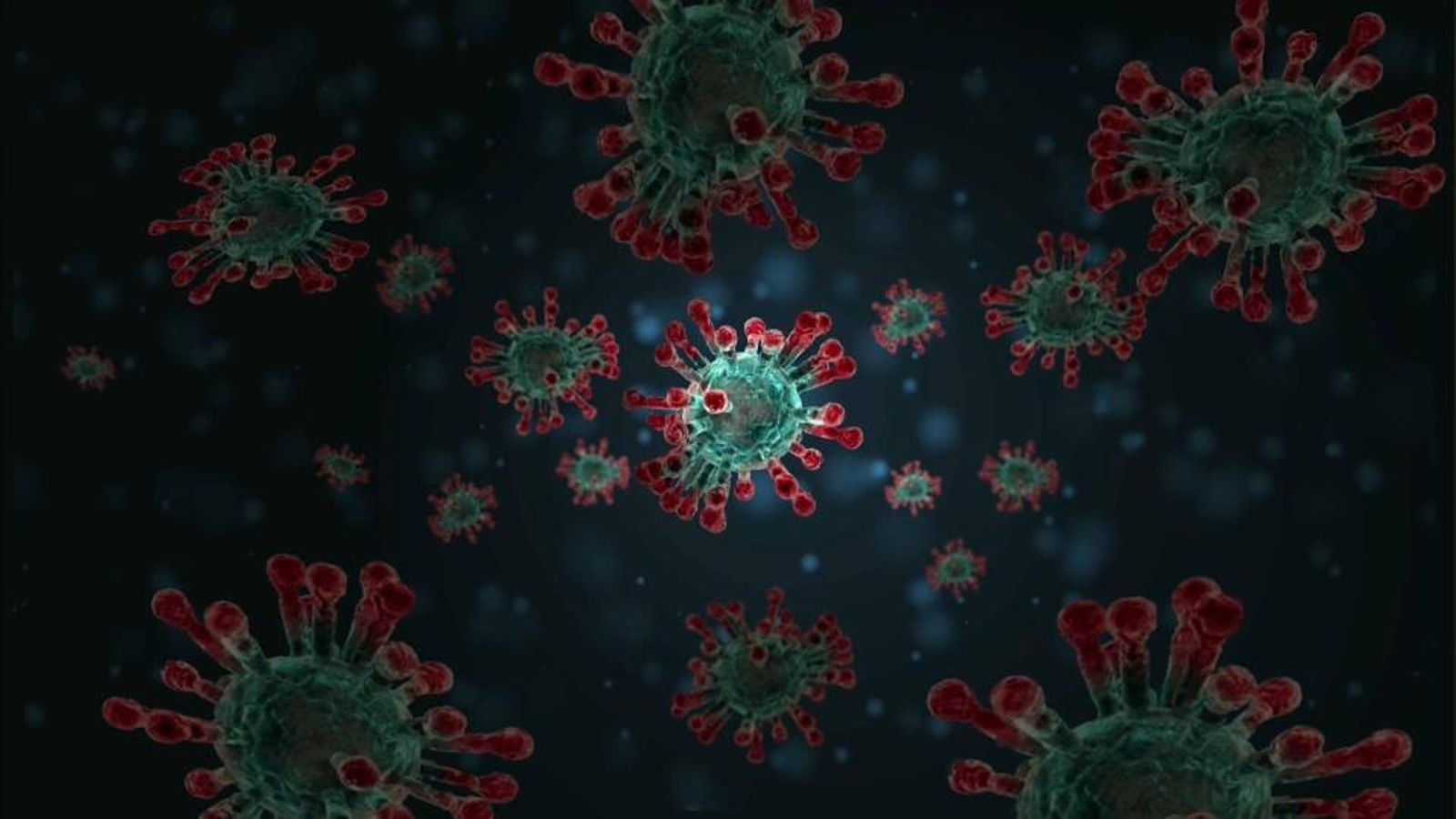 Investiguen nous tipus de coronavirus en rates penades