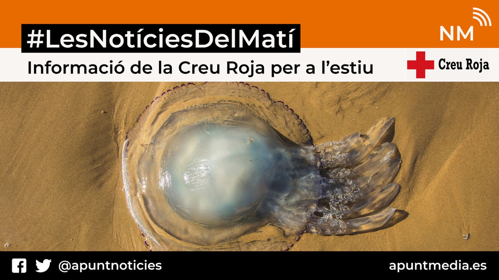06.08.2018 | Informació de la Creu Roja per a l'estiu