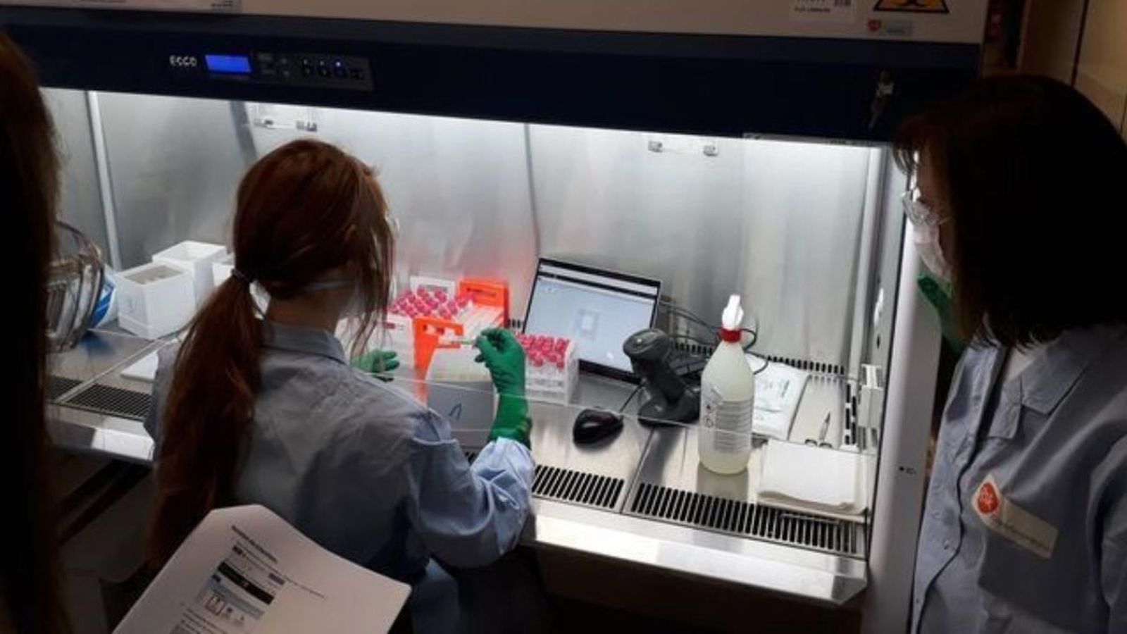 Un dels laboratoris on es treballa per a trobar una vacuna efectiva contra el coronavirus