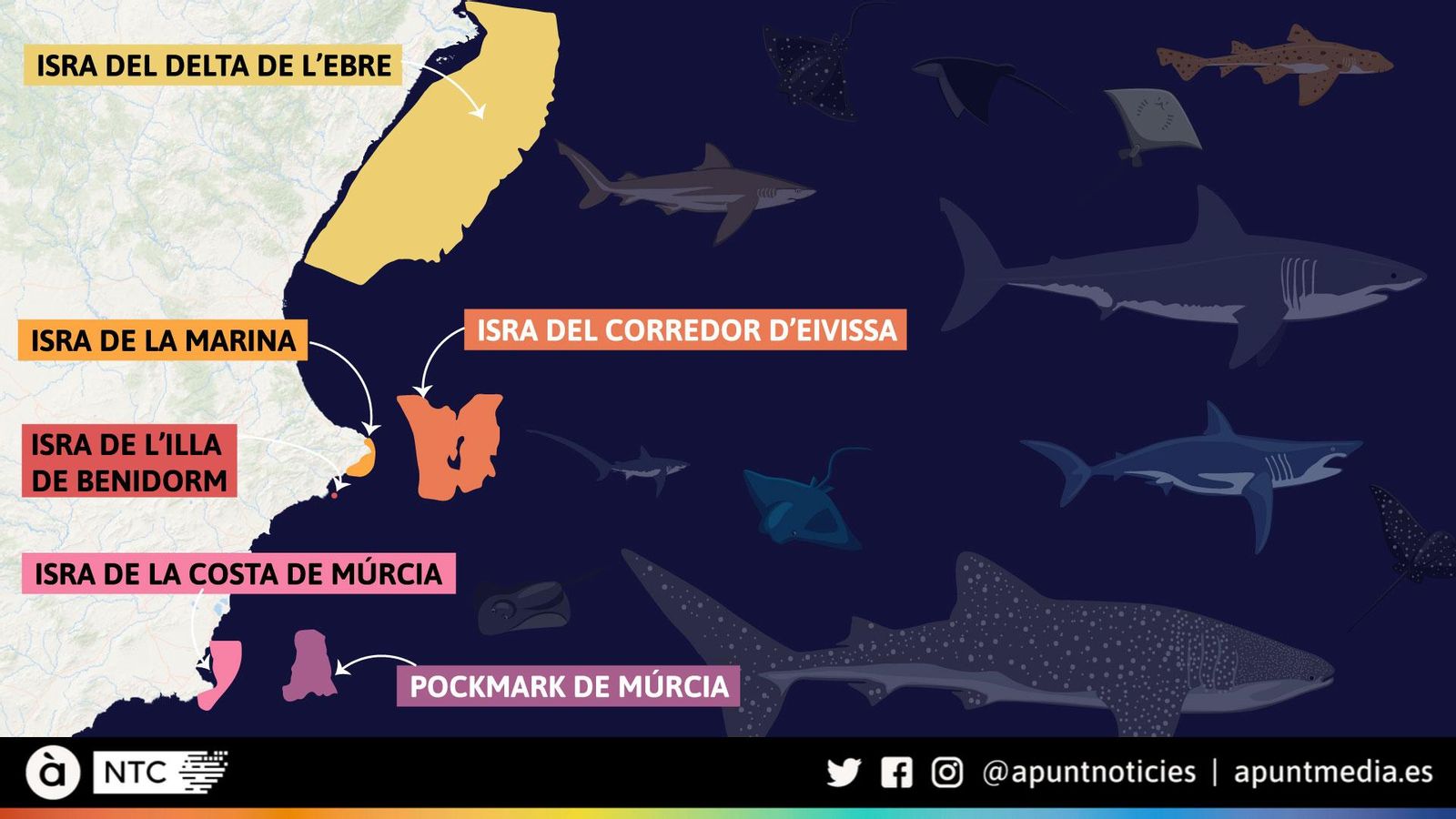 Mapa de les zones zones d’importància per a la conservació d'esquals i rajades ubicades prop de la Comunitat Valenciana