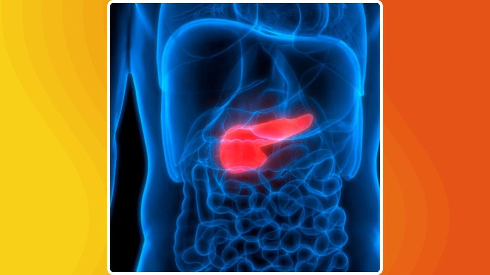 12.02.2026 | Descobriments i reptes de la teràpia experimental del càncer de pàncrees amb Clara Alfaro