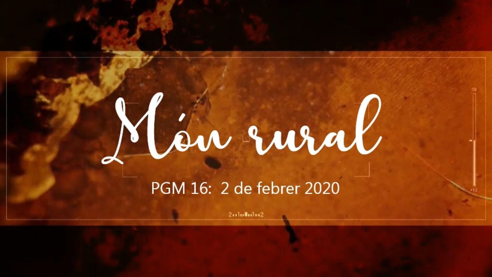 Programa 16 - Món rural