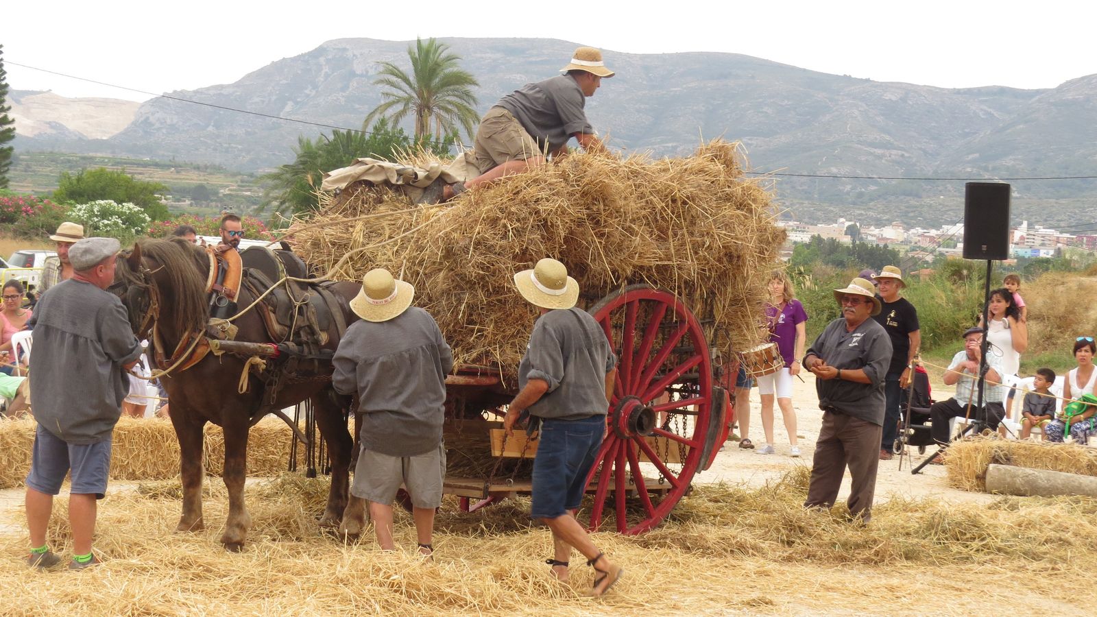 La sega del blat de la Marina