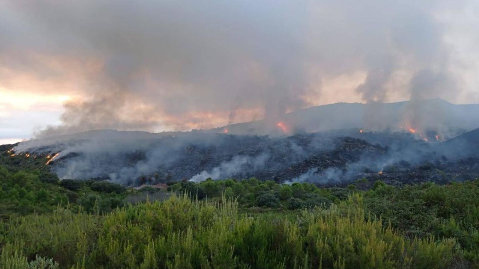 L'incendi ha cremat unes 16 hectàrees