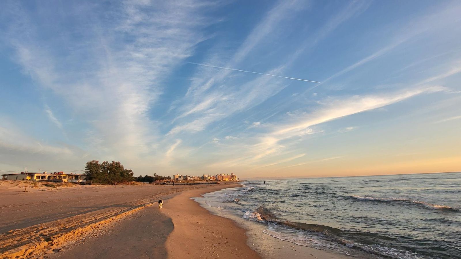 PLATJA DEL REI, SUECA