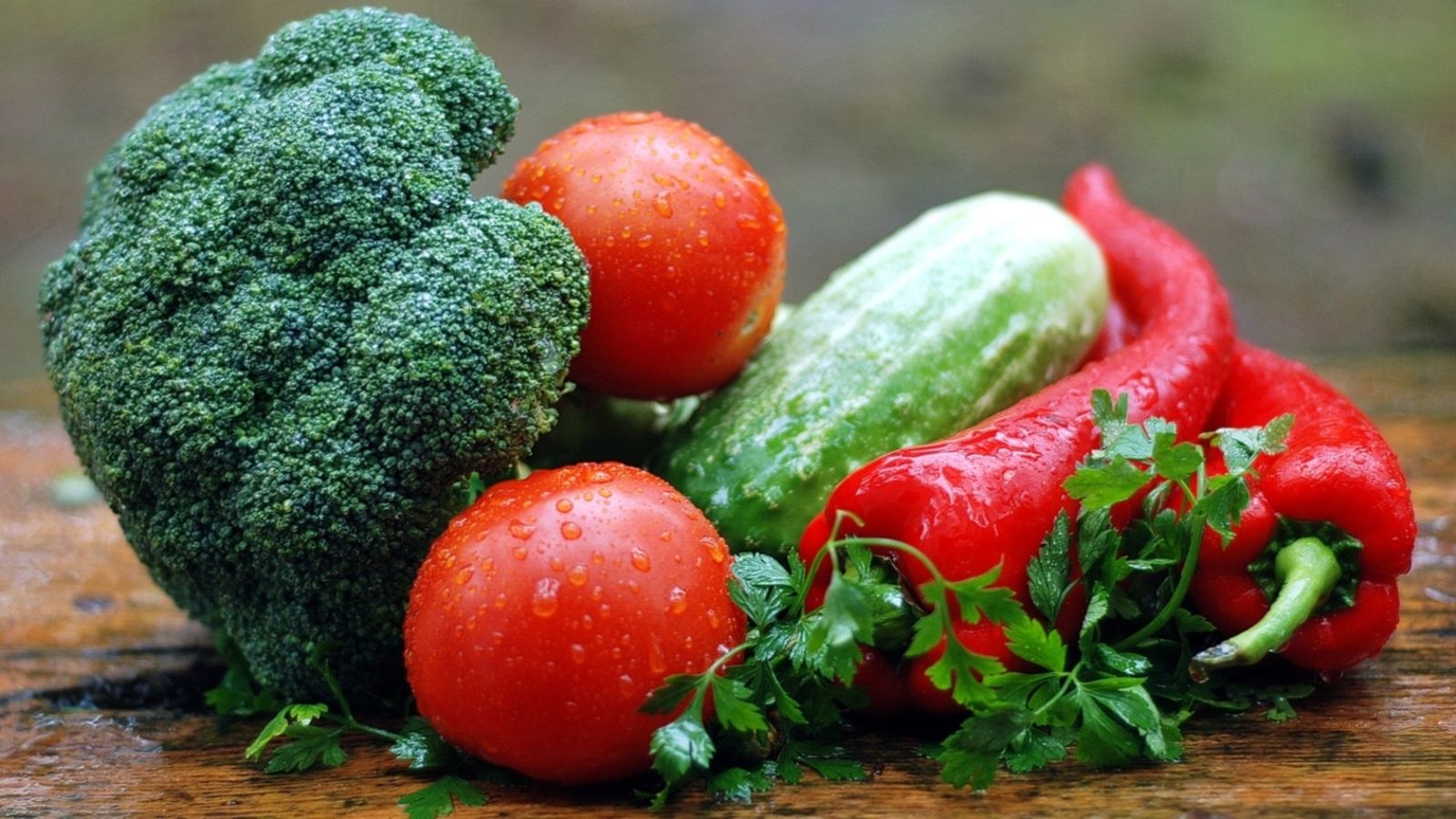 24.07.2018 | La traçabilitat alimentària