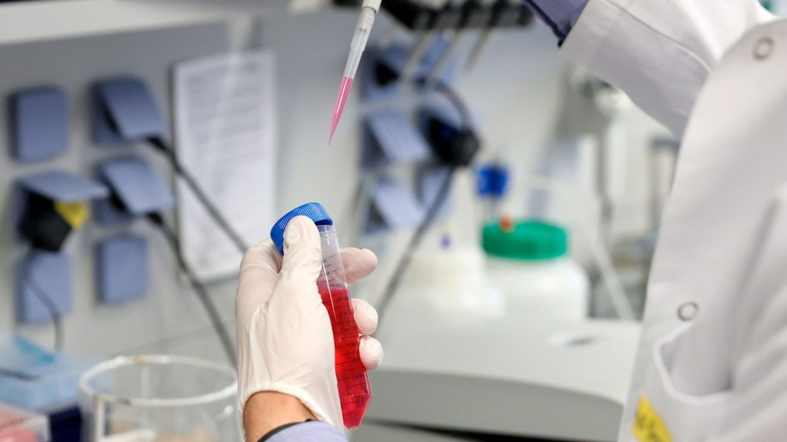 Imatges de proves en laboratori a la recerca de medicaments