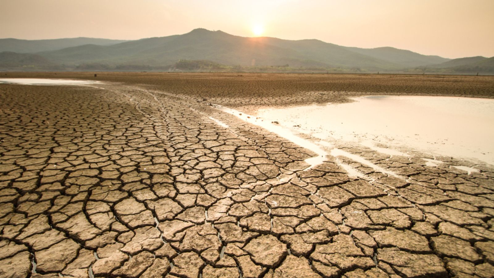 25.01.2024 | El vessant econòmic del canvi climàtic: quines conseqüències té en les zones caloroses?
