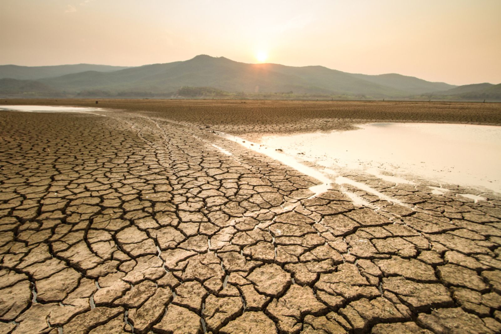 25.01.2024 | El vessant econòmic del canvi climàtic: quines conseqüències té en les zones caloroses?