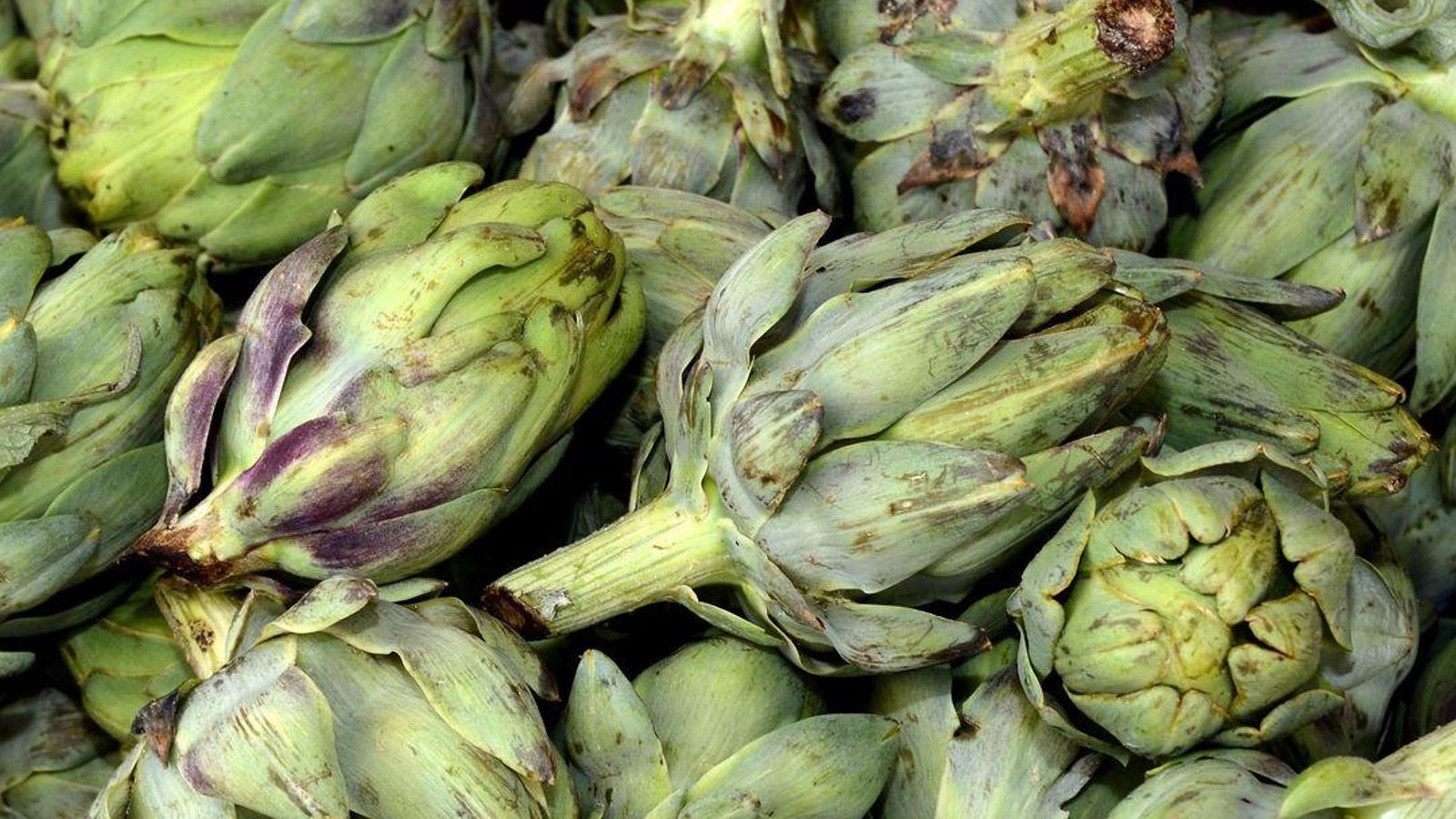 15.01.2019 | La Festa de la Carxofa de Benicarló