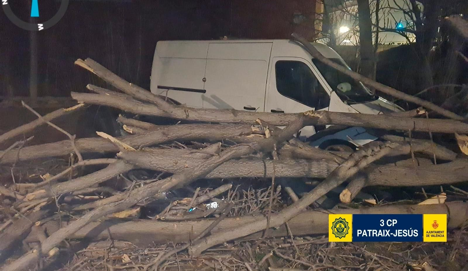 Un arbre caigut al carrer Moncayo de  Valènci aha causat desperfectes en quatre vehicles