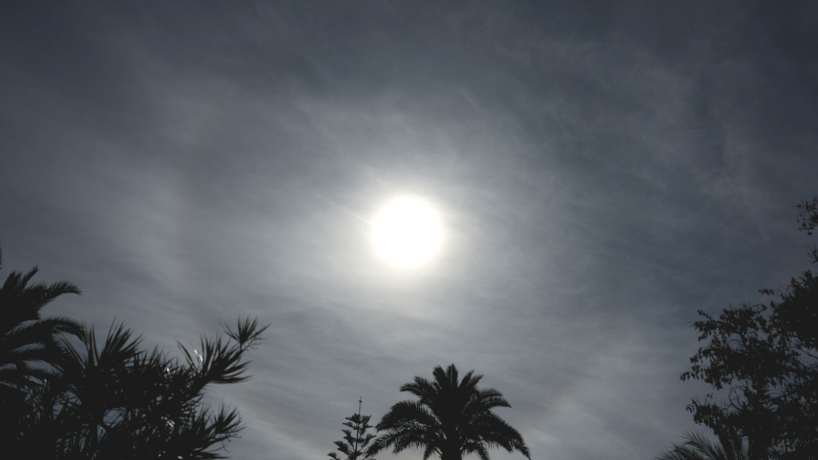 TORREVELLA TORREVIEJA, EL BAIX SEGURA