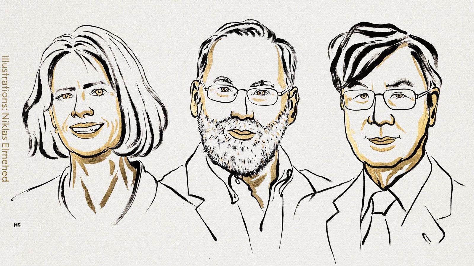 Mary E. Brunkow, Fred Ramsdell i Shimon Sakaguchi, guanyadors del Premi Nobel de Medicina 2025