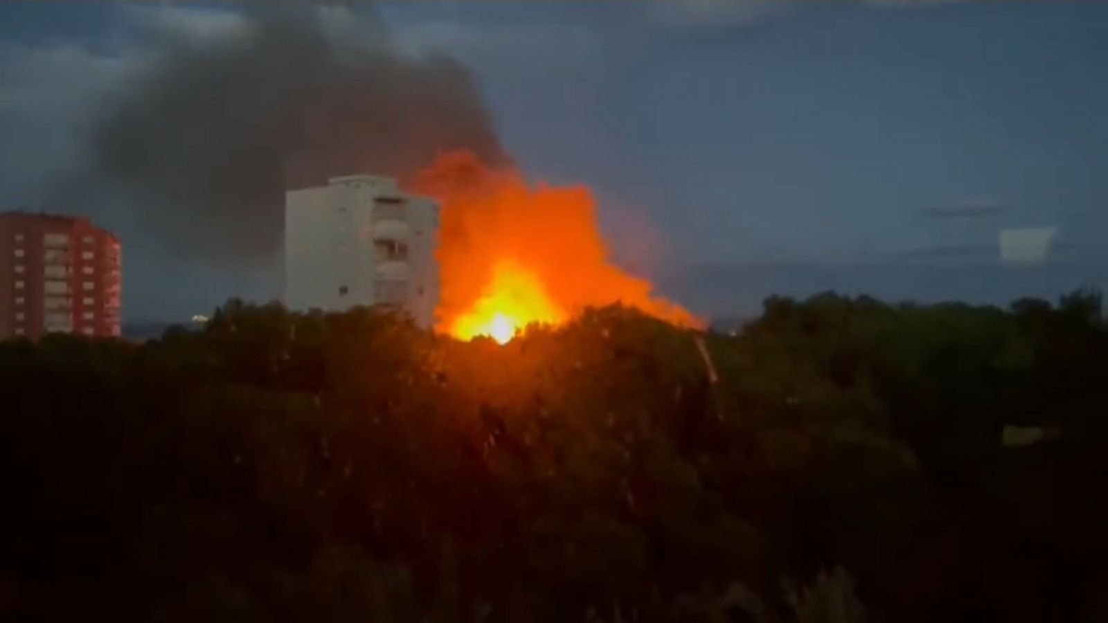L'incendi forestal que afecta el parc natural del Saler de València, vist des d'una vivenda