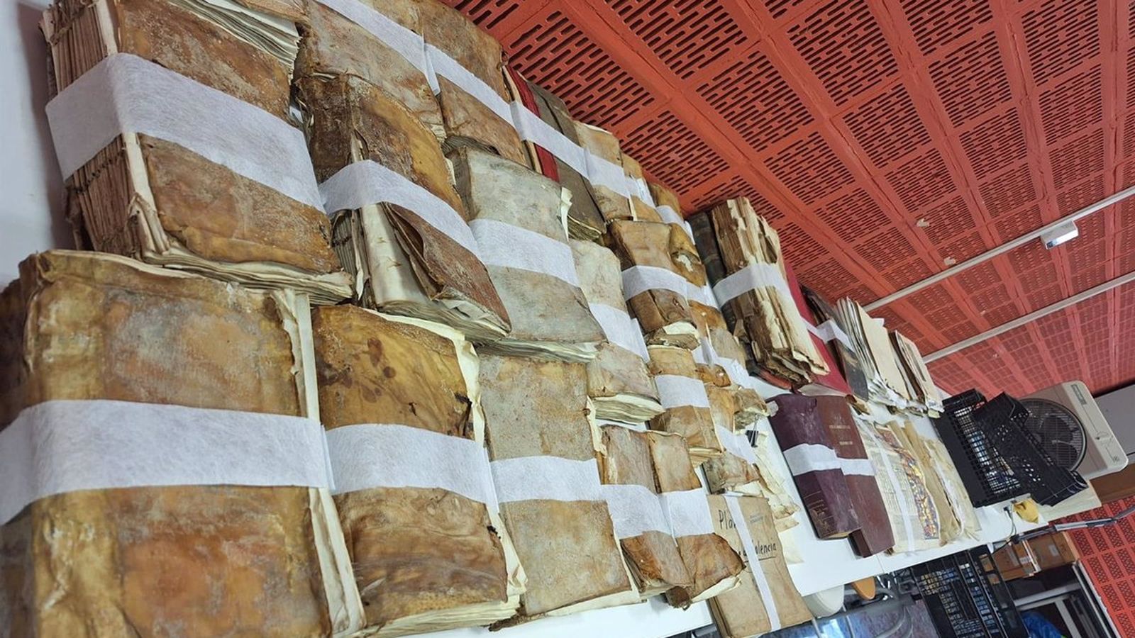 Quasi 50 llibres de la biblioteca i arxiu d'Algemesí s'han vist afectats