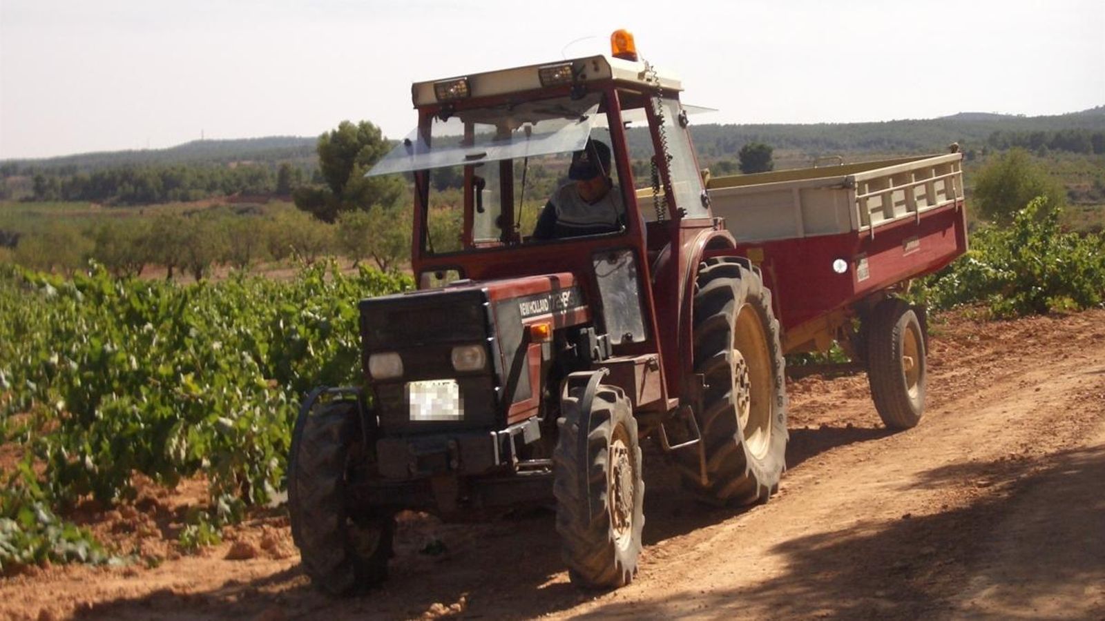Un tractor recull raïm, en una imatge d’arxiu