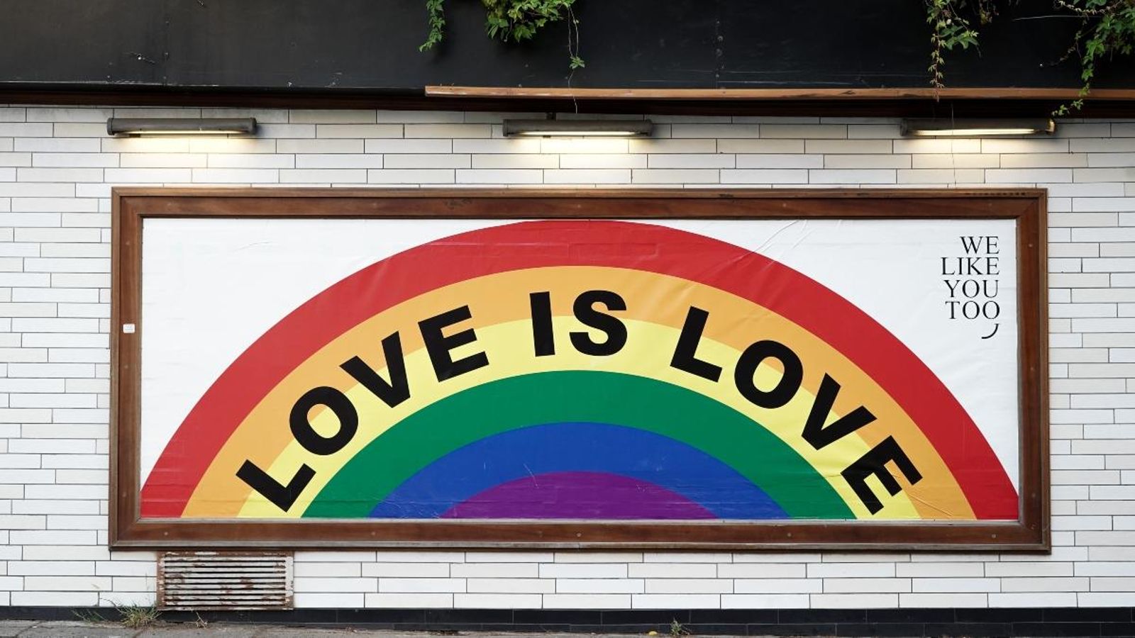 Les troballes de l'estudi s'han publicat en la revista 'Science'