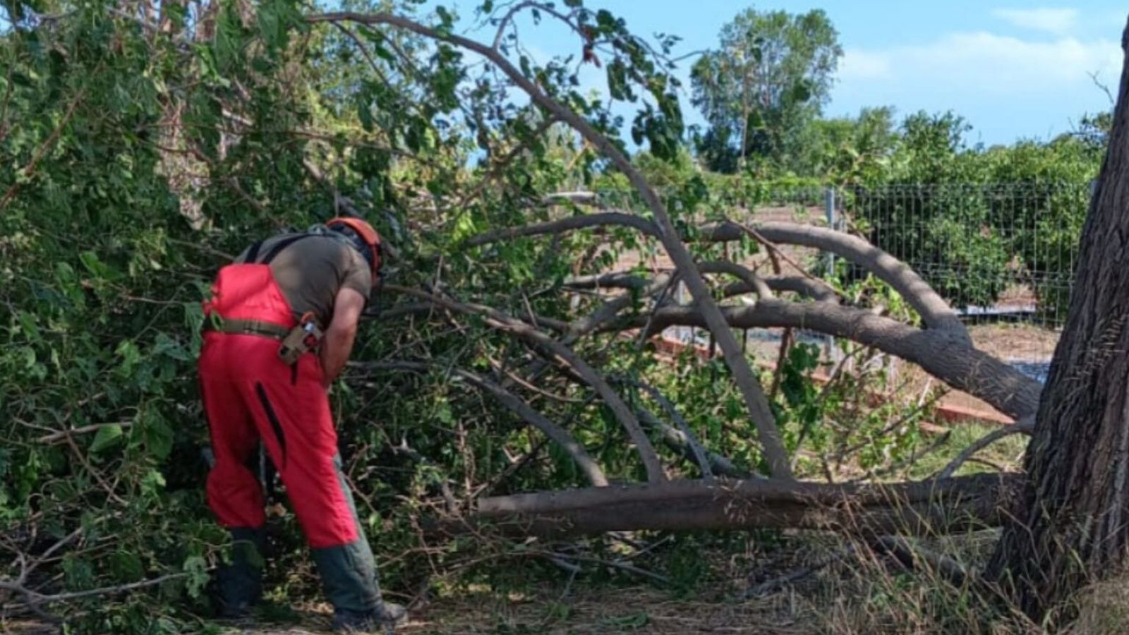 Consorci Provincial de Bombers de València