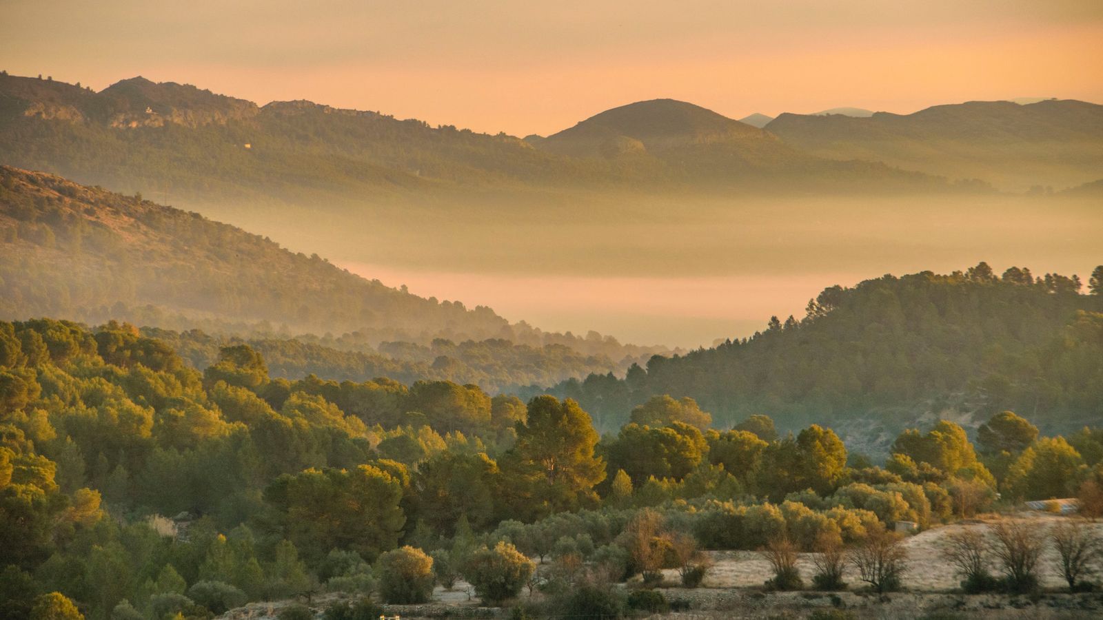 4. L'OLLERIA, LA VALL D'ALBAIDA
