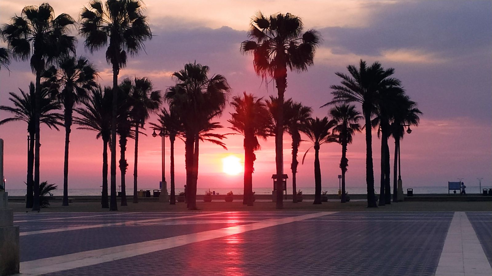 Les Arenes, València