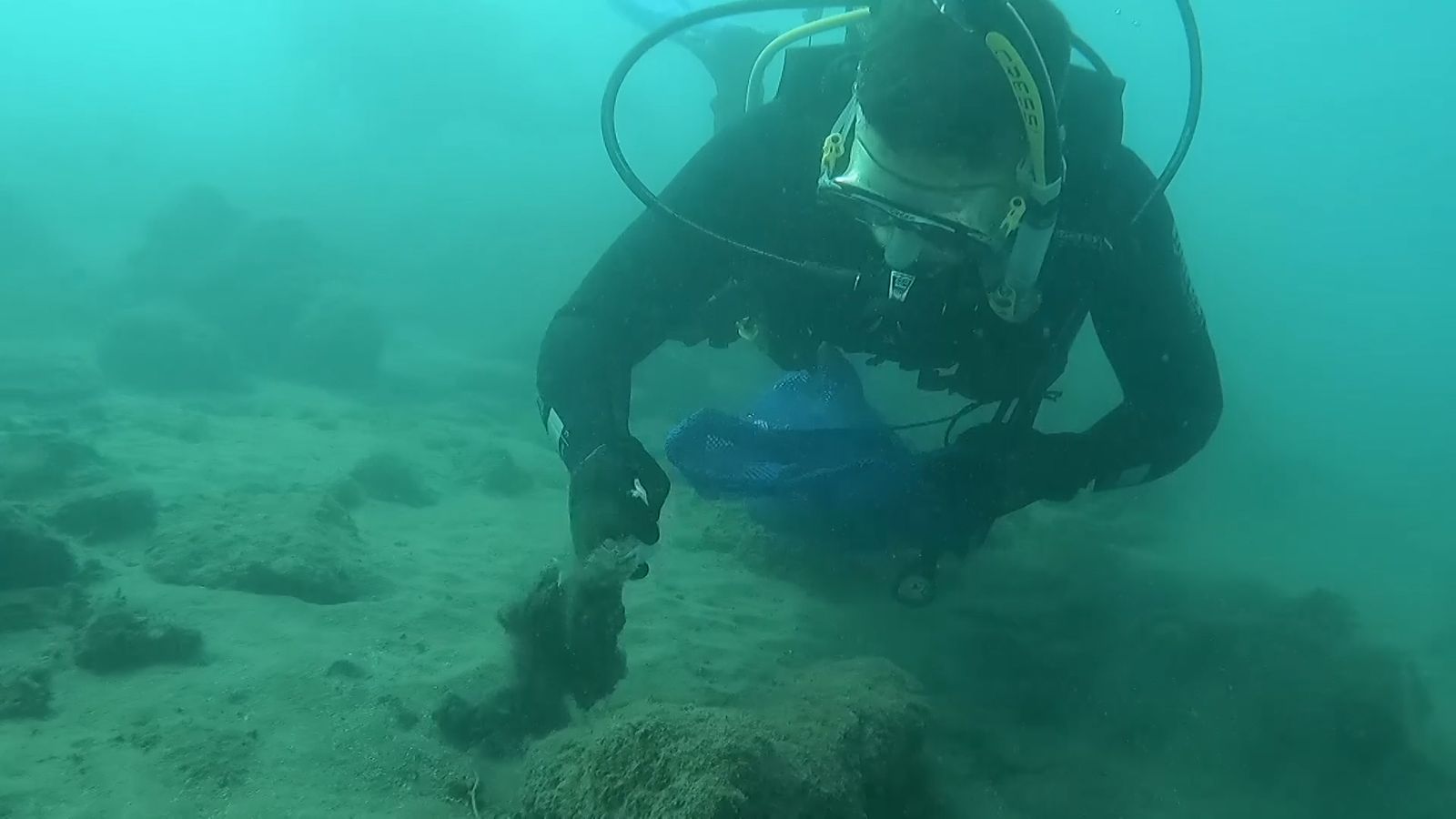 Un dels bussejadors voluntaris treballa arreplegant fem del fons marí