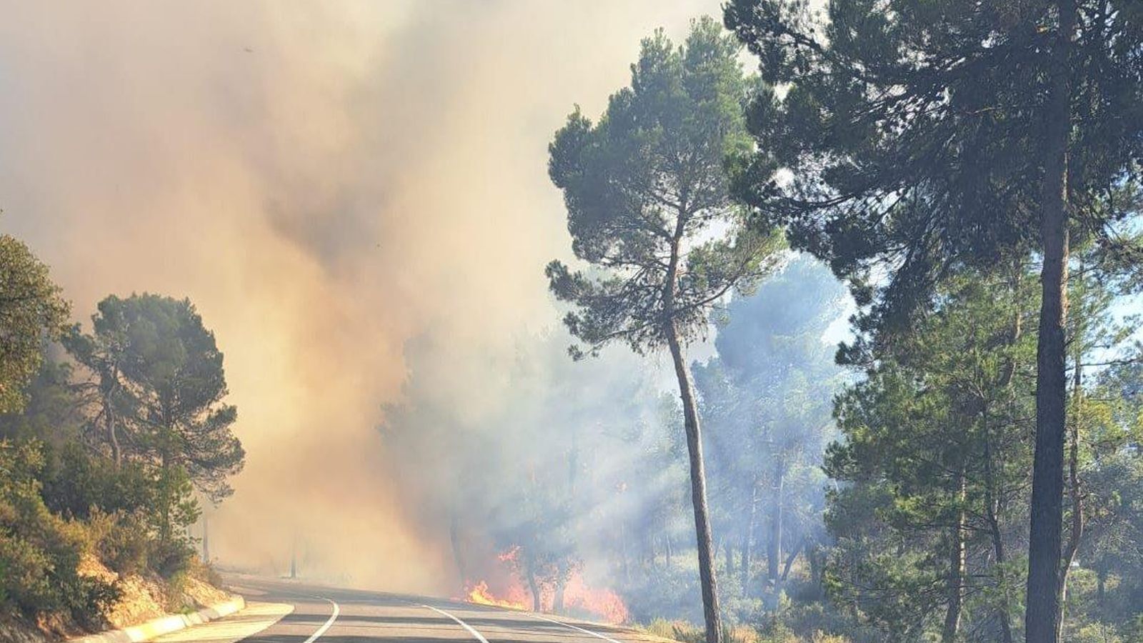 L'incendi forestal de Banyeres de Mariola, este dilluns