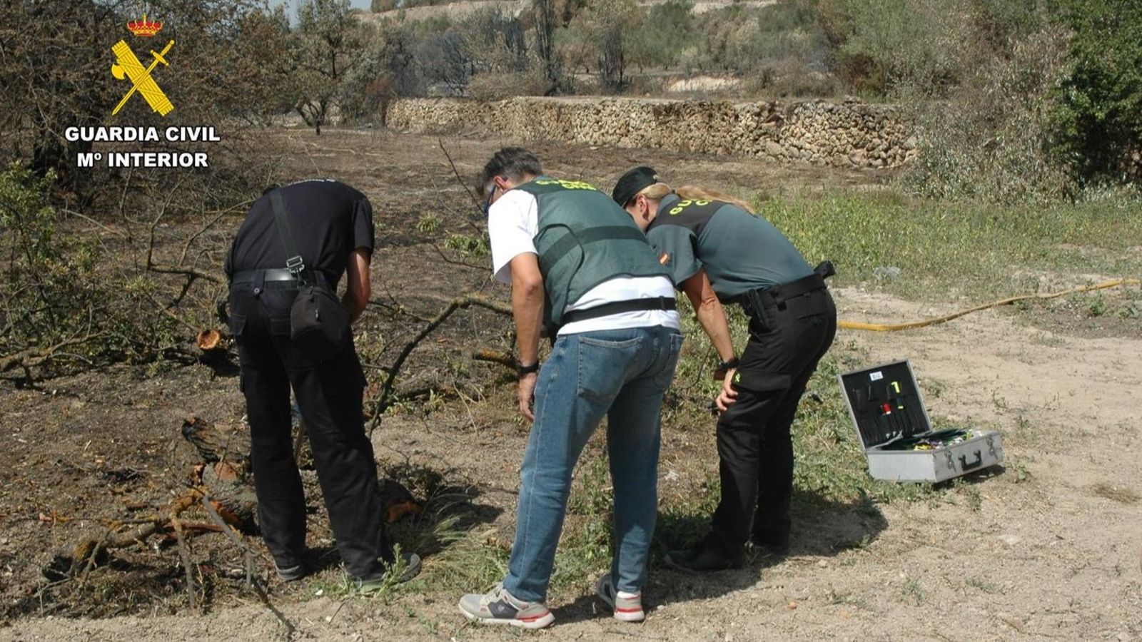 Agents de la Guàrdia Civil inspeccionen una zona de l'incendi de Benasau