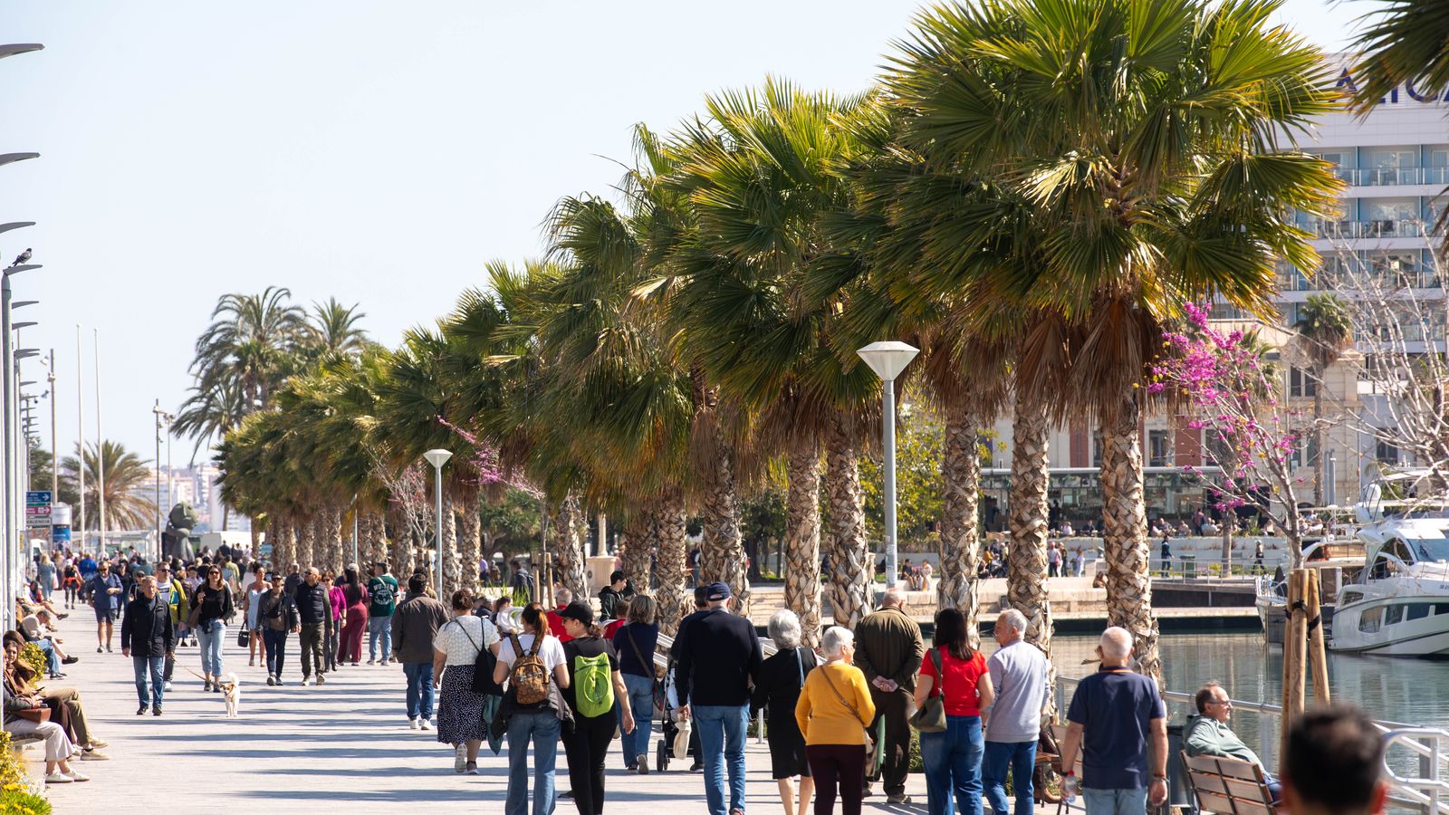 Turistes per Alacant, en una imatge recent