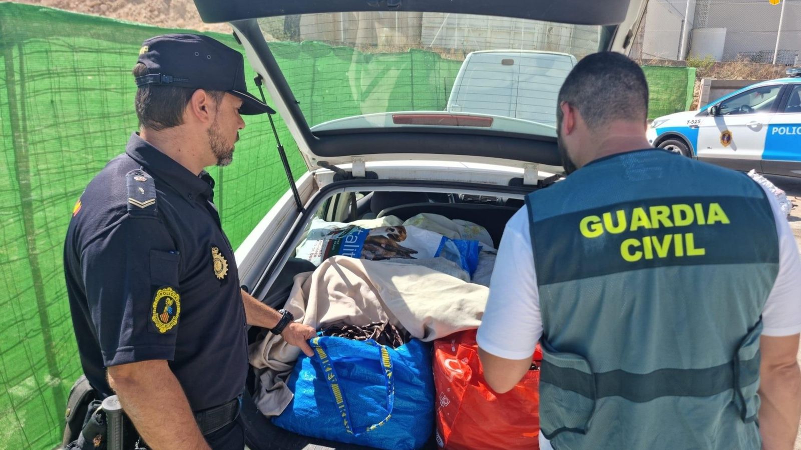 Cotxe en el que es van trobar les garrofes decomisades