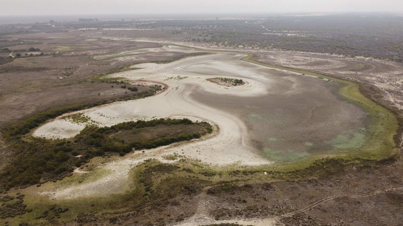 Santa Olalla, la llaguna més gran de Doñana