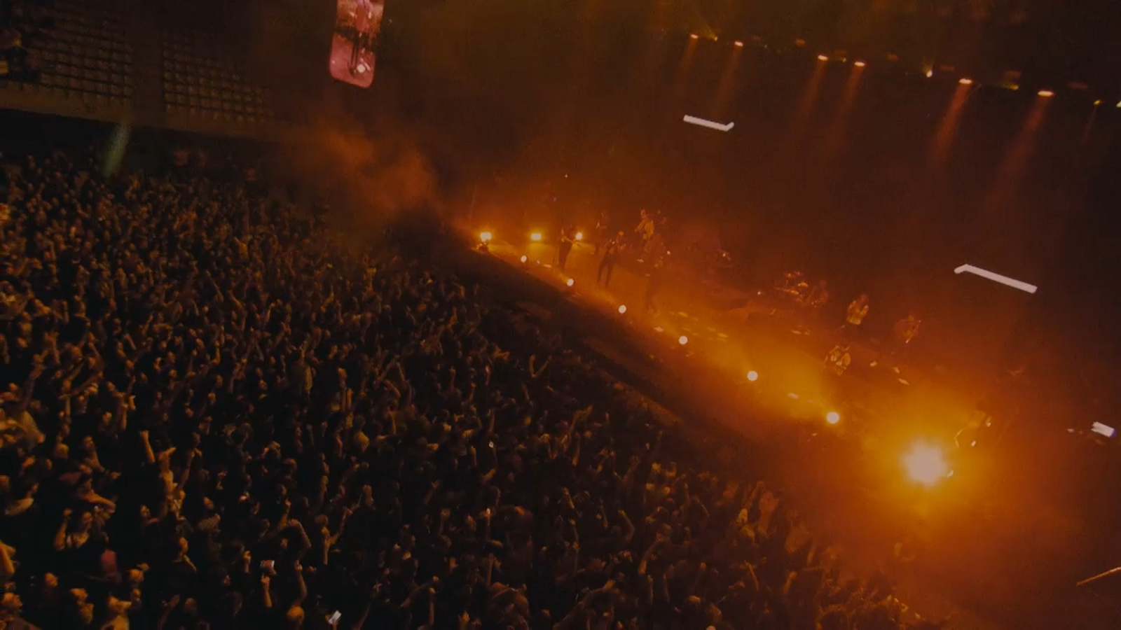 Concert Zoo 'Llepolies'