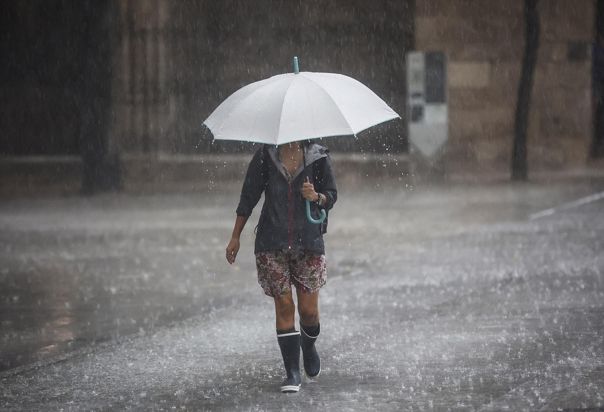Una dona es protegix de la pluja amb un paraigua (arxiu) Una dona es protegix amb un paraigua de la pluja (arxiu)