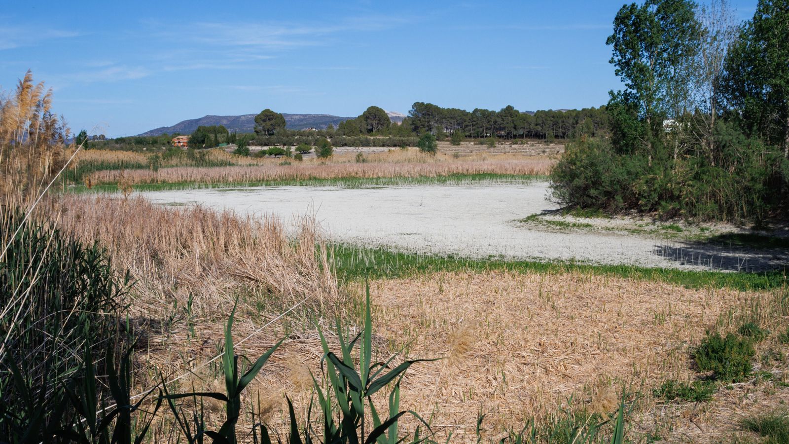 L'albufera de Gaianes, quasi sense aigua en una imatge recent
