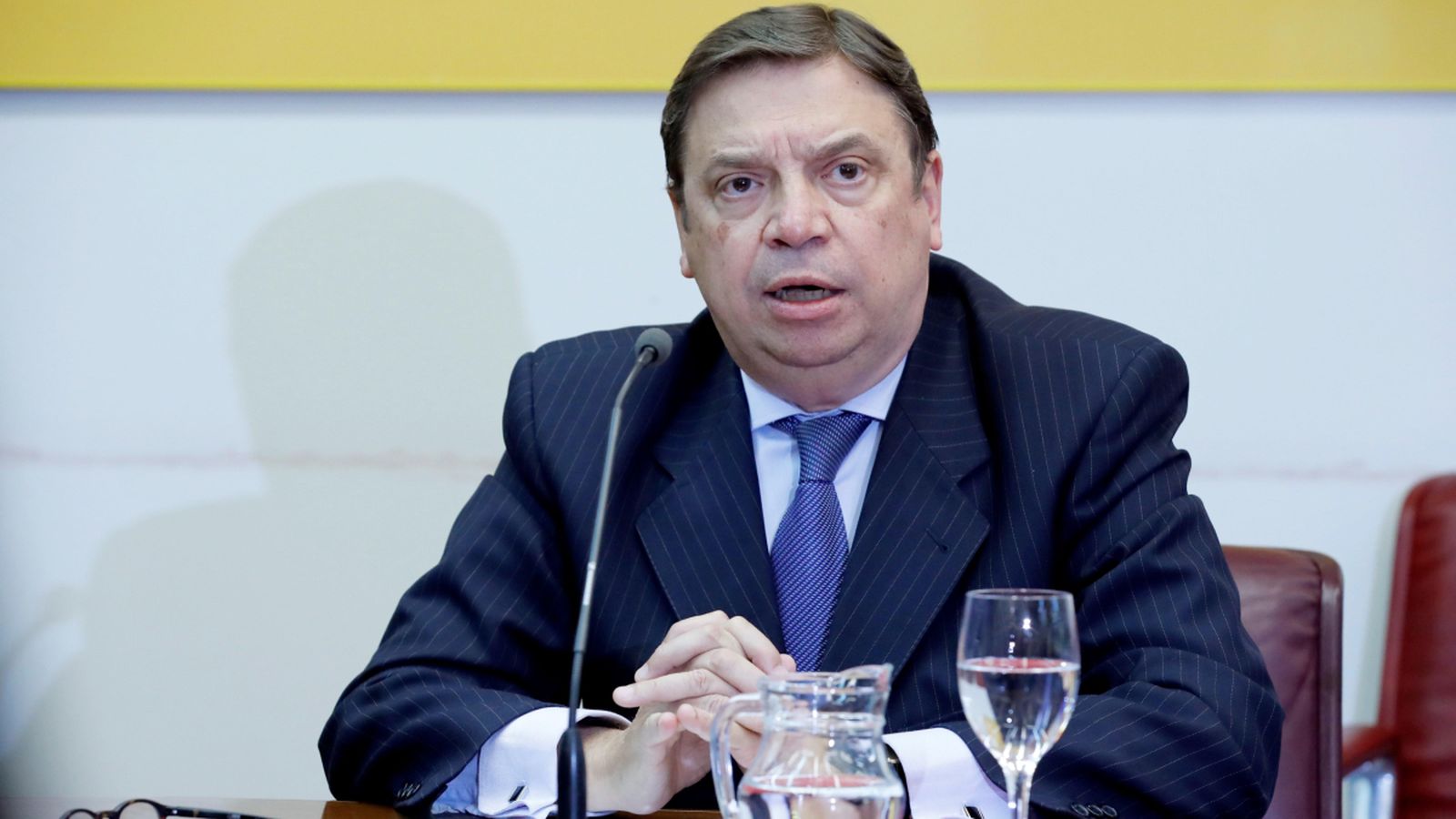 El ministre d'Agricultura, Pesca i Alimentació, Luis Planas, en imatge d'arxiu. Zipi (Efe)