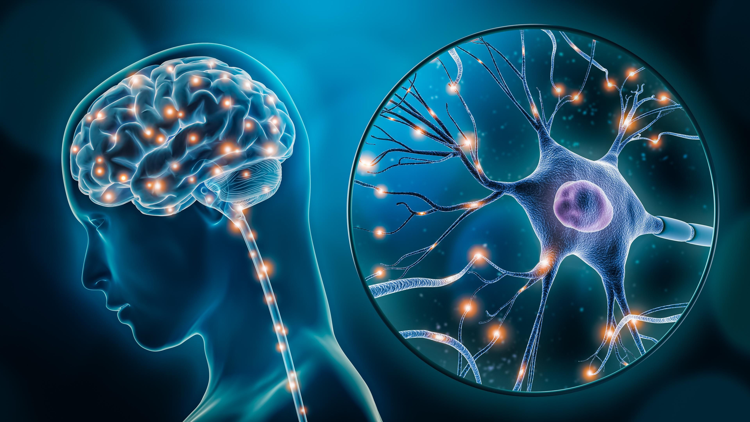 Activitat cerebral humana amb il·lustració 3D de neurona de tancament Activitat cerebral humana amb il·lustració 3D de neurona de tancament