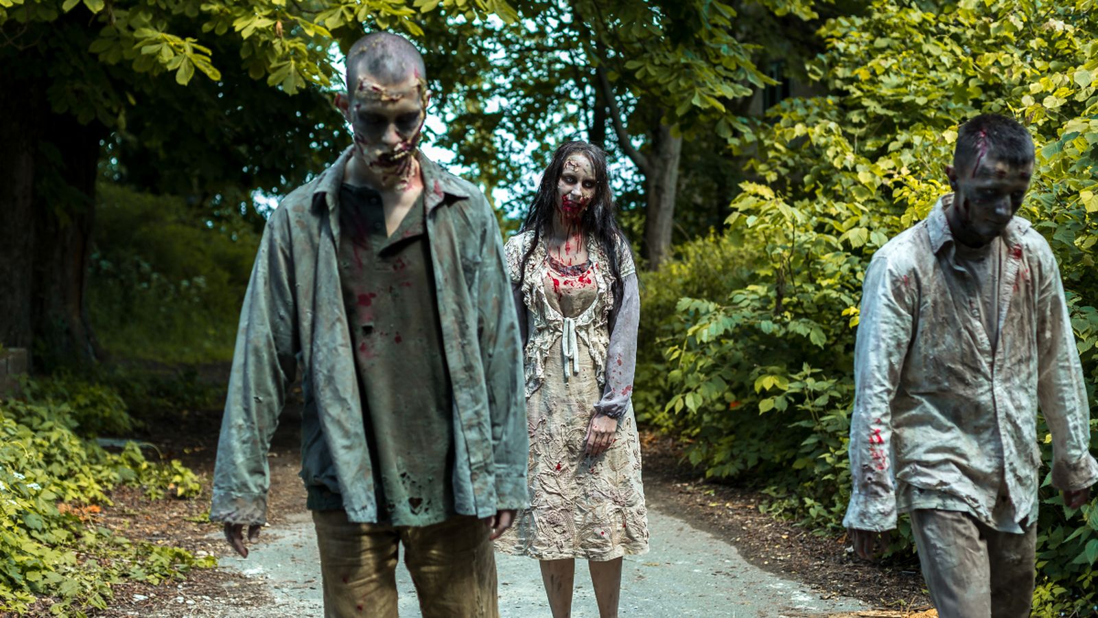 Hordes infeccioses i hospitals en flames: així són els malsons pandèmics més recurrents