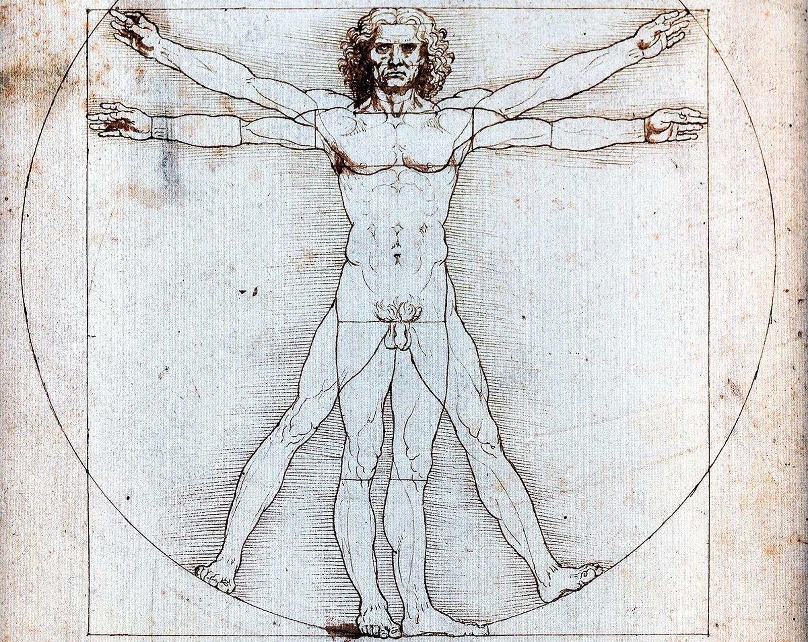 L'Home de Vitruvi, de Leonardo da Vinci