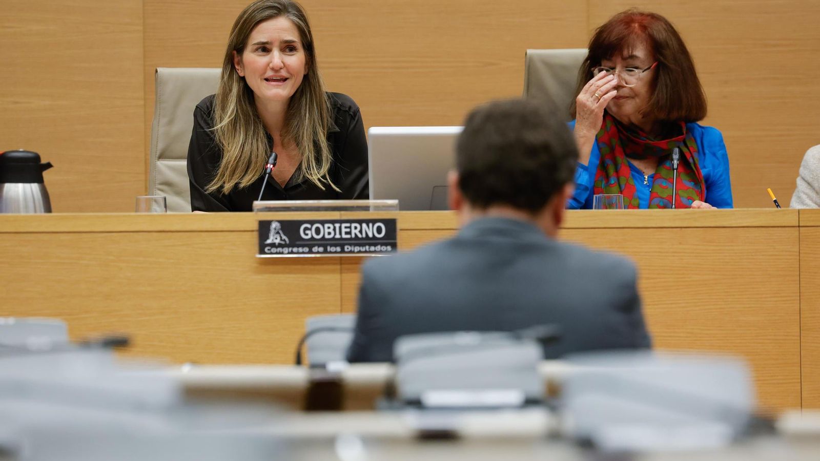 Comparecencia de Sara Aagesen en el Congreso