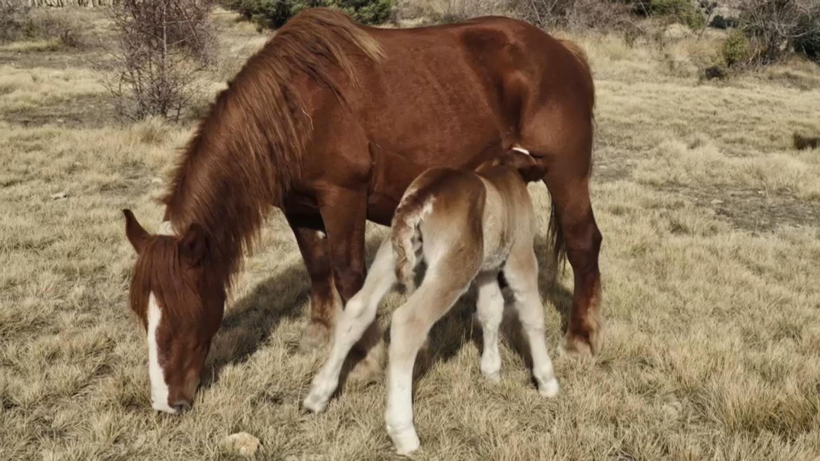 De mar i bancal | Un naixement molt especial