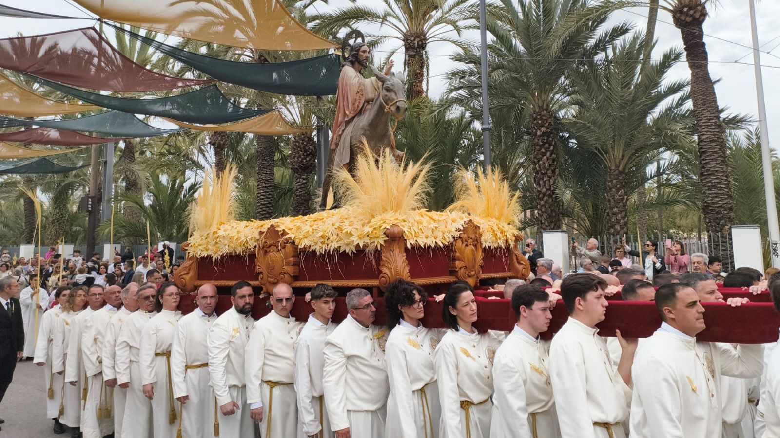 Imatge de la processó de les Palmes d'Elx d'este diumenge