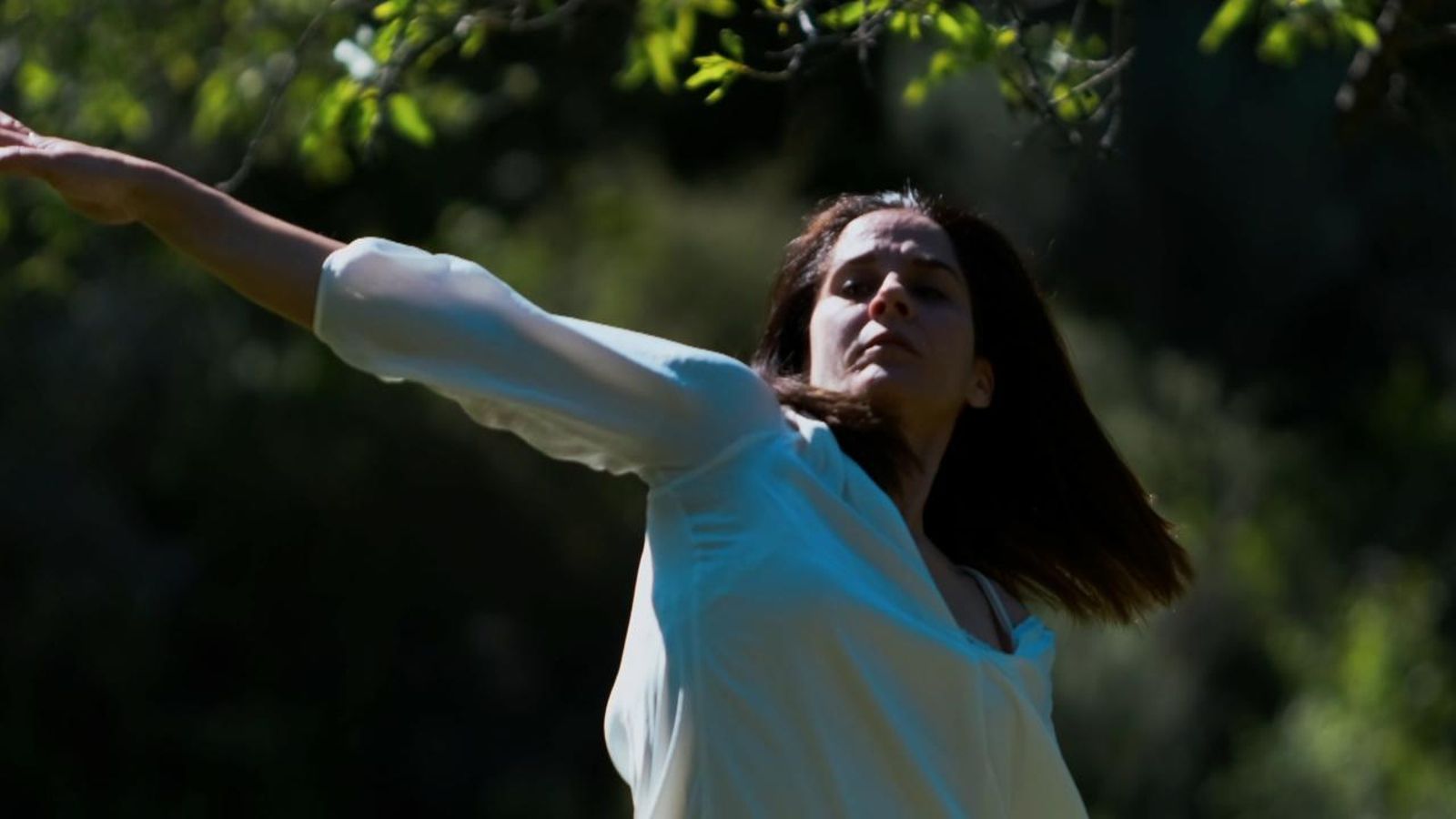 Conservatori de consonants palaltals