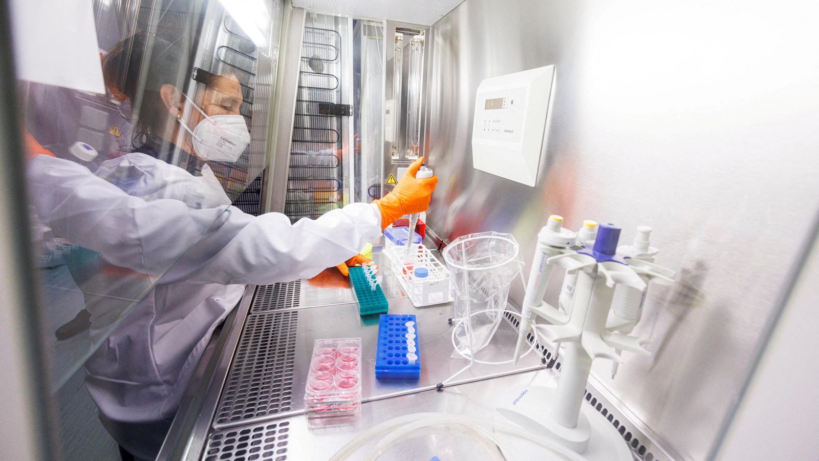Treball de laboratori en una vacuna contra la pigota dels micos Treball de laboratori en una vacuna contra la pigota del mico