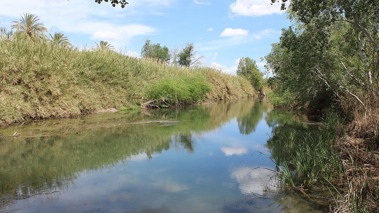 El riu Xúquer al seu pas per Alzira