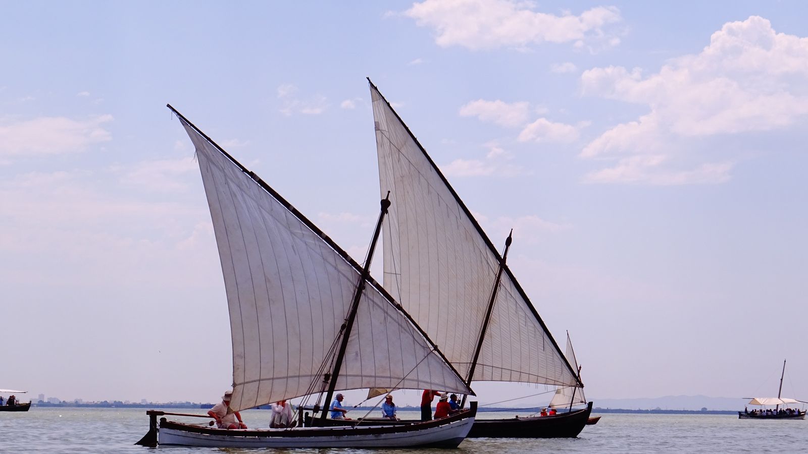 EMILI ALBA, l'Albufera,