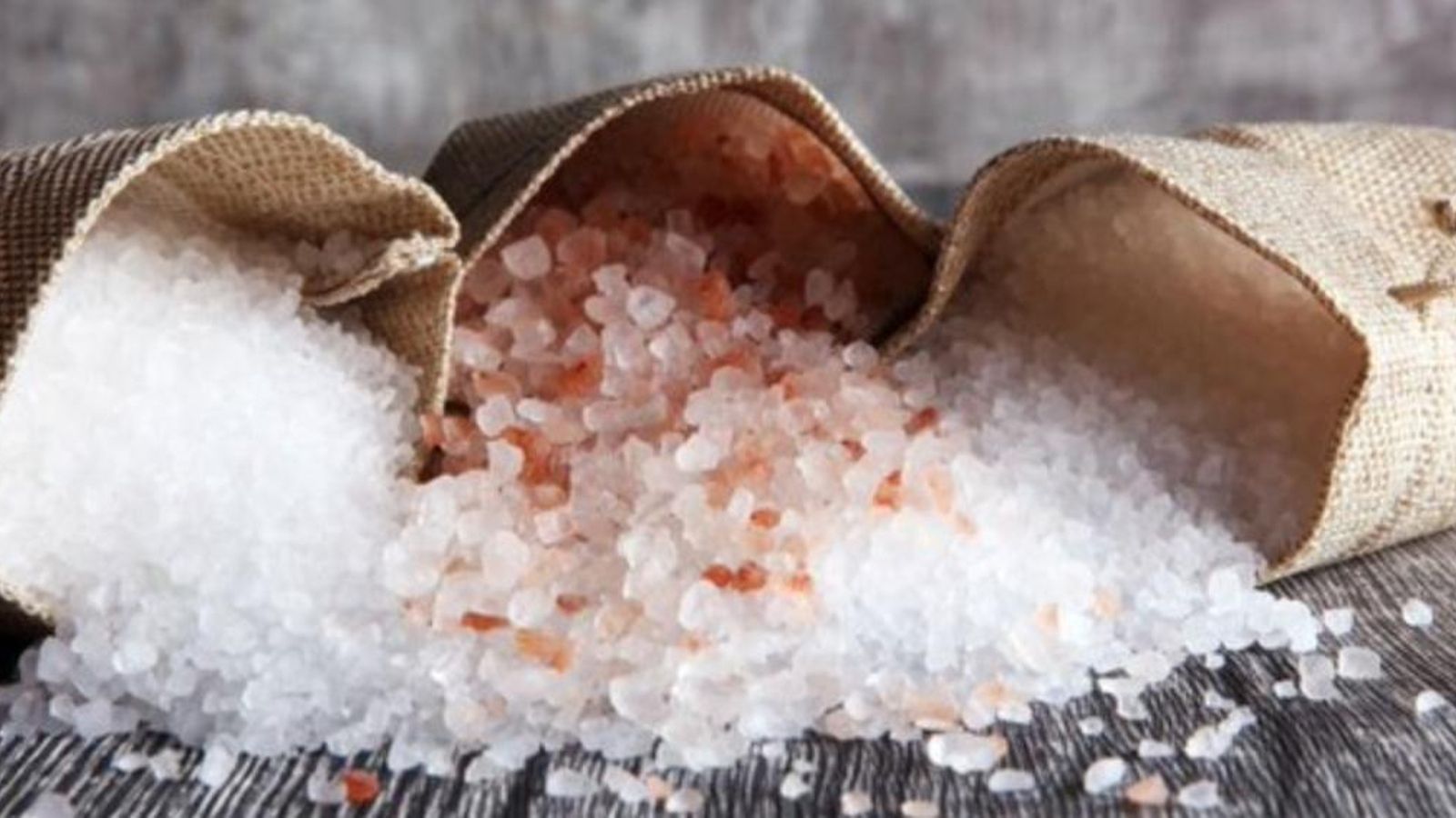 Les escates i l\'espuma de sal de Bras del Port, guardonades a Brussel·les