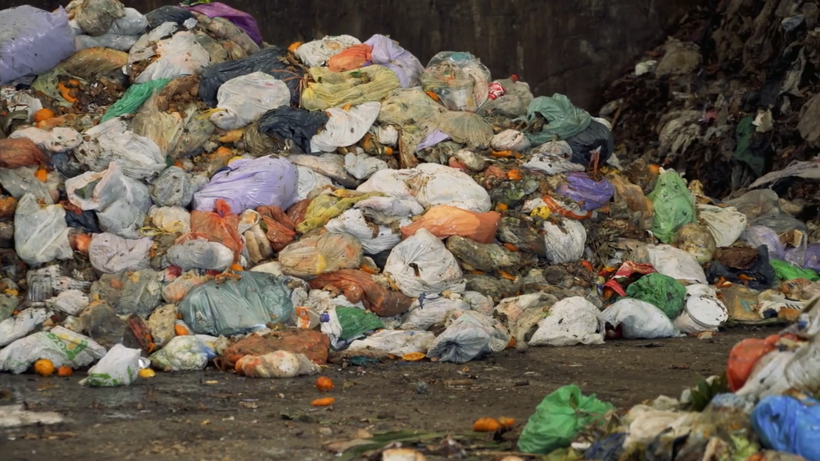 Zoom | El menjar que tirem