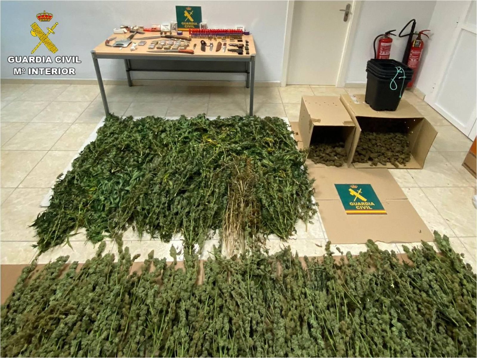 Marihuana incautada per la Guàrdia Civil en l'operació