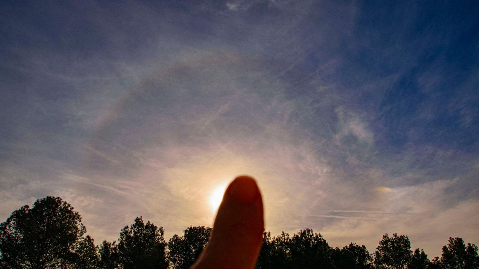 7 L'OLLERIA, LA VALL D'ALBAIDA, M. NIEVES SÁNCHEZ   HALO SOLAR 2