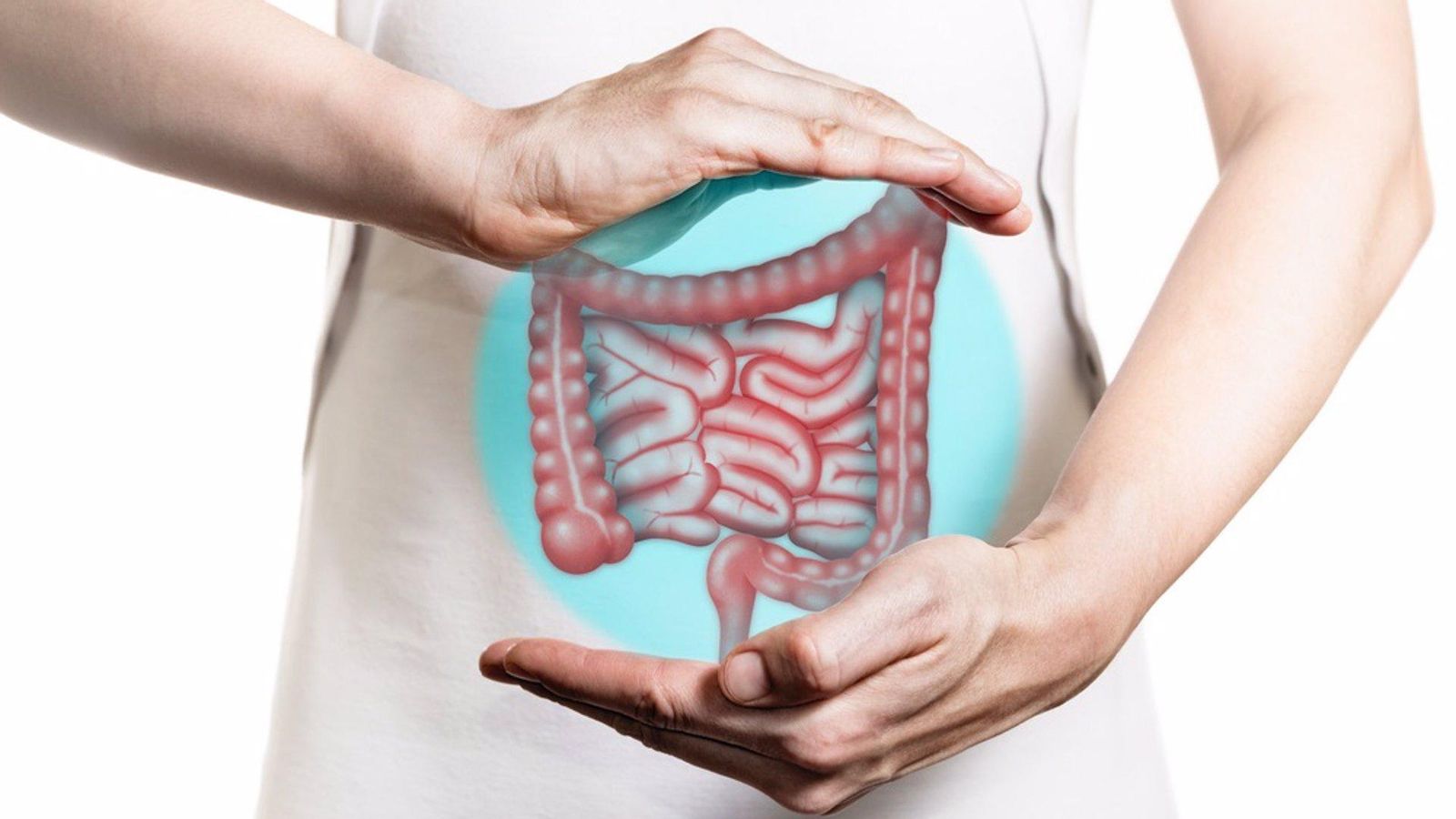 Els especialistes animen la ciutadania a participar en les proves diagnòstiques per a detectar els tumors al còlon