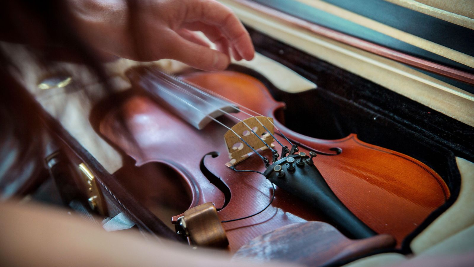 Imatge d'arxiu d'un violí